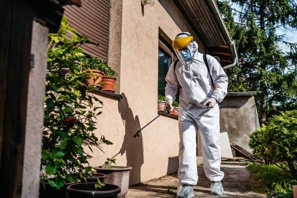 Best Wasp Removal Services  in Frazer, PA