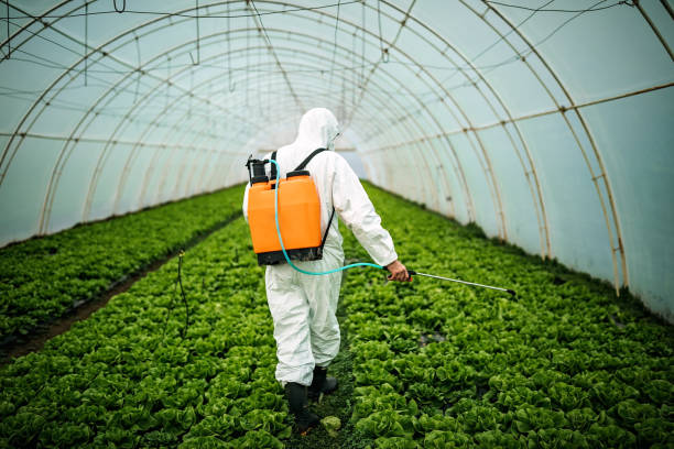Best Affordable Pest Control Services  in Frazer, PA