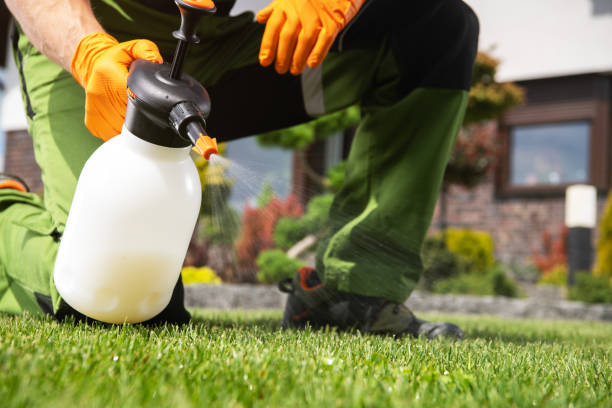 Best Pest Removal Services  in Frazer, PA