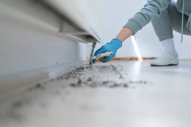 Best Affordable Pest Control Services  in Frazer, PA