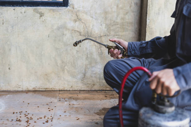 Best Best Pest Control Companies  in Frazer, PA